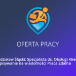 Praca online Dodatkowa (Żory)